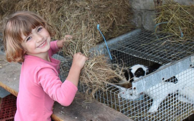 Ferme Pedagogique " L'Bout D'Chemin" Villa Genevreuille Buitenkant foto