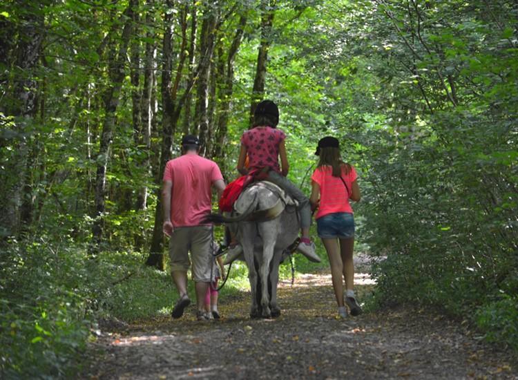 Ferme Pedagogique " L'Bout D'Chemin" Villa Genevreuille Buitenkant foto