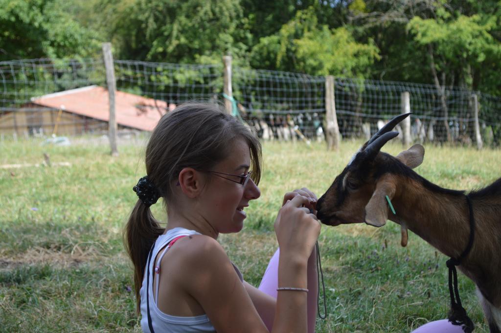 Ferme Pedagogique " L'Bout D'Chemin" Villa Genevreuille Buitenkant foto