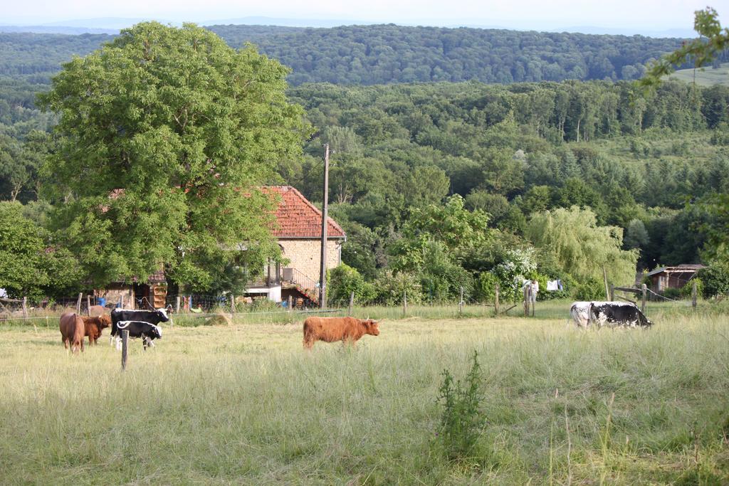 Ferme Pedagogique " L'Bout D'Chemin" Villa Genevreuille Buitenkant foto